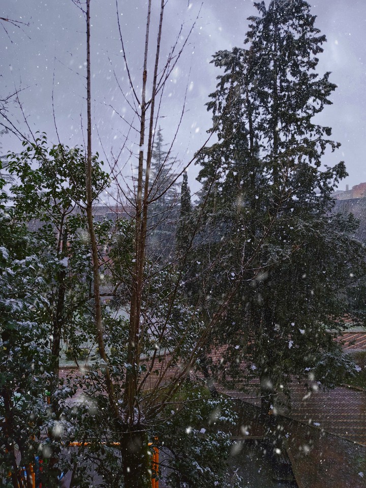 winter