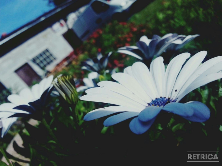 moment
