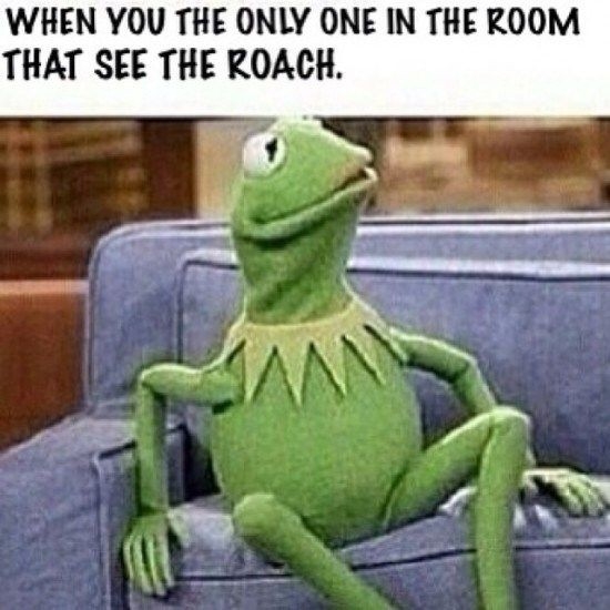 yes