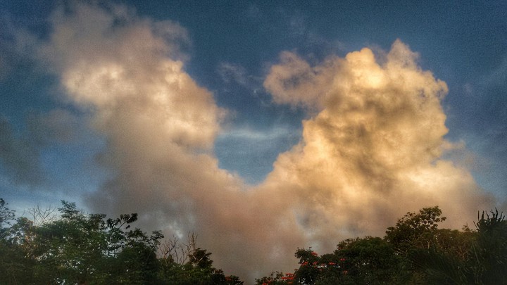 sunset light