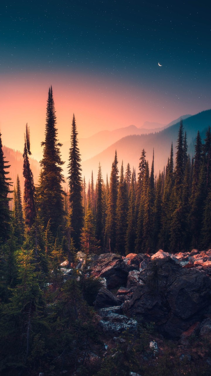 Alpine Dreams