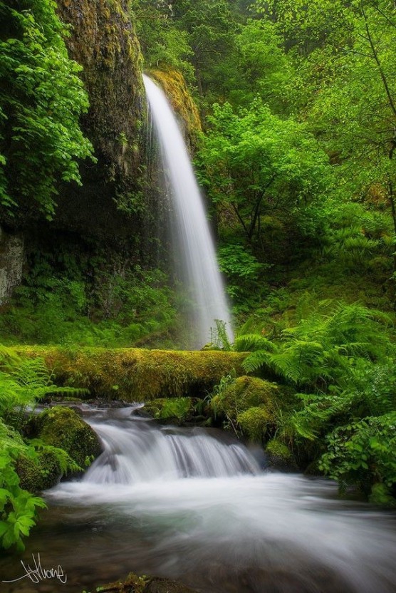 Falls