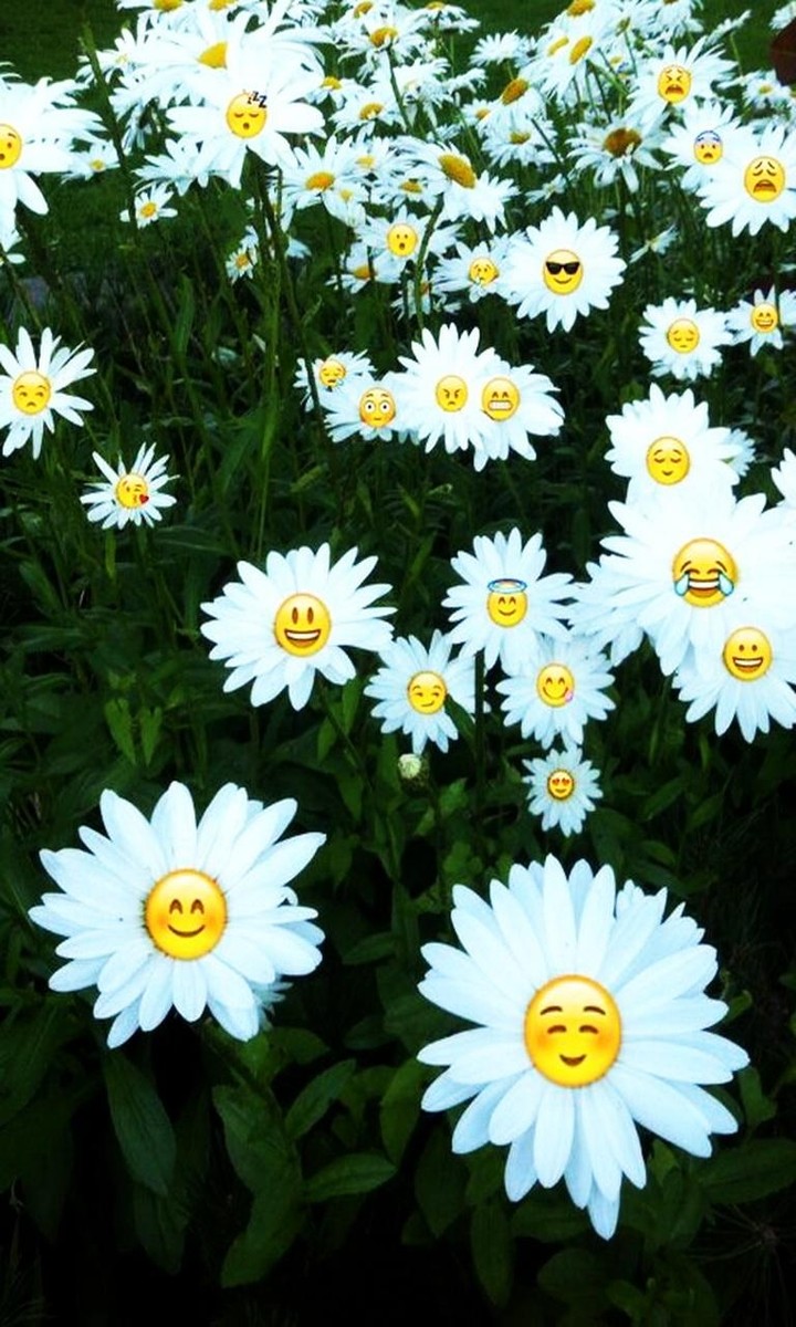 Beautiful Emoji Flowers...
