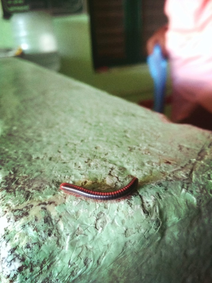 chennai
