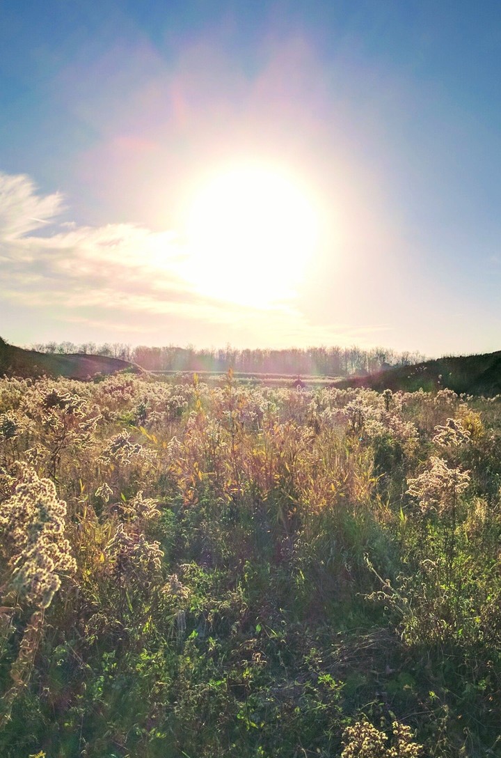 Sunset over a field