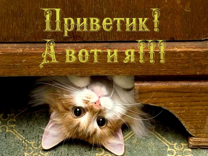 приветик