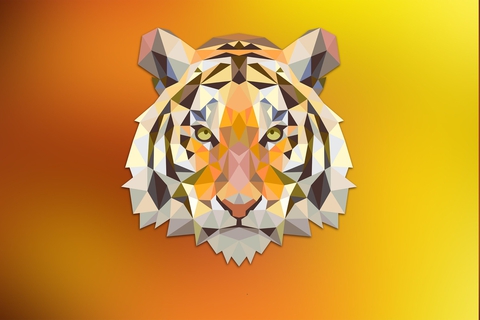 sfondi wildlife, Carnivore