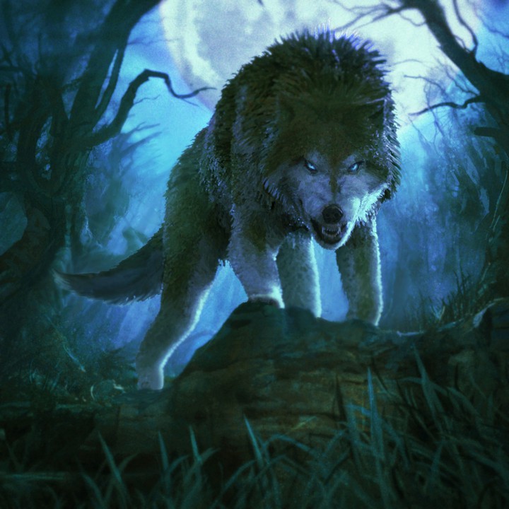 wolves