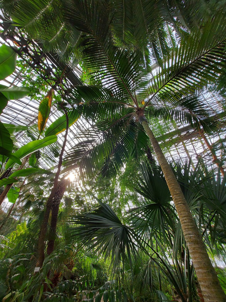 Botanical Garden 3