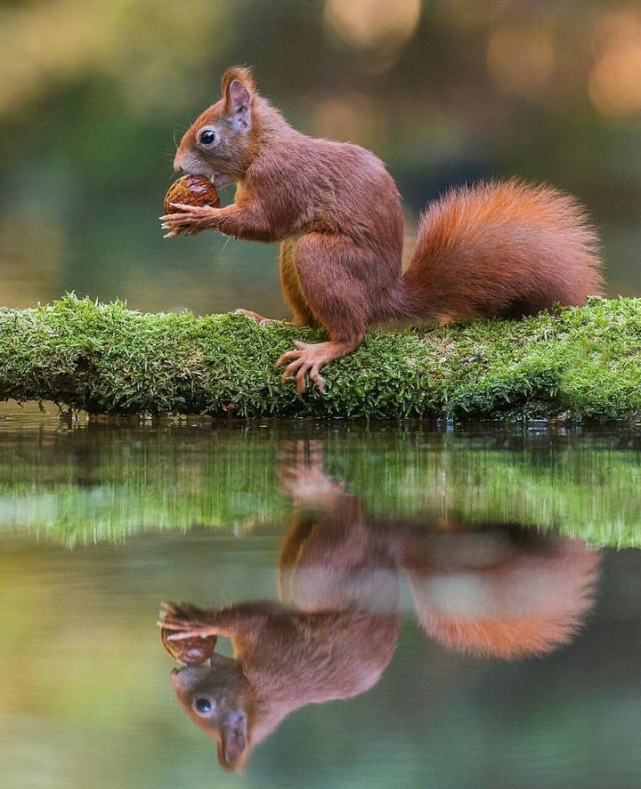 nice shot