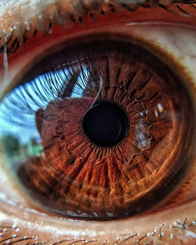 eye