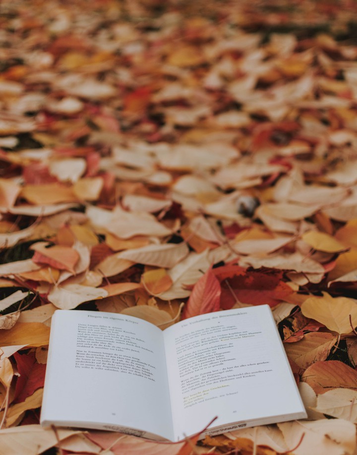 book