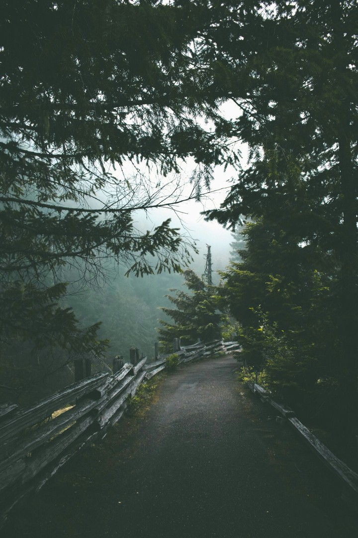 mountain road