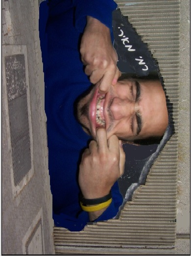 פנים