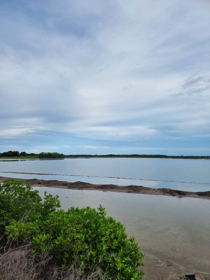 El salao 3
