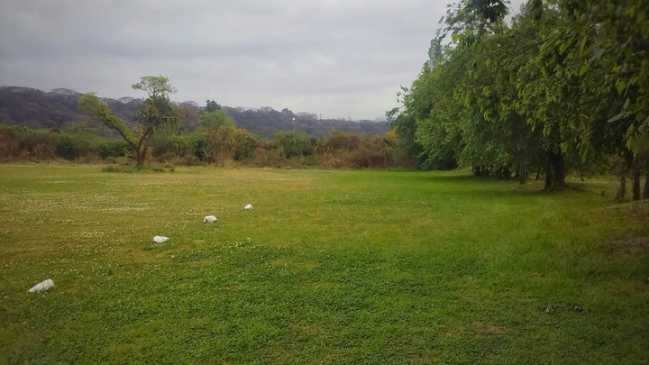 Los Molinos