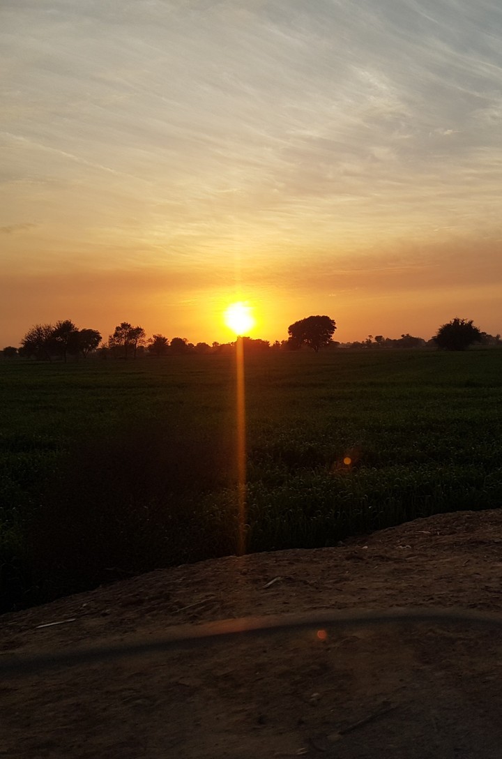 Sunset i  Fields