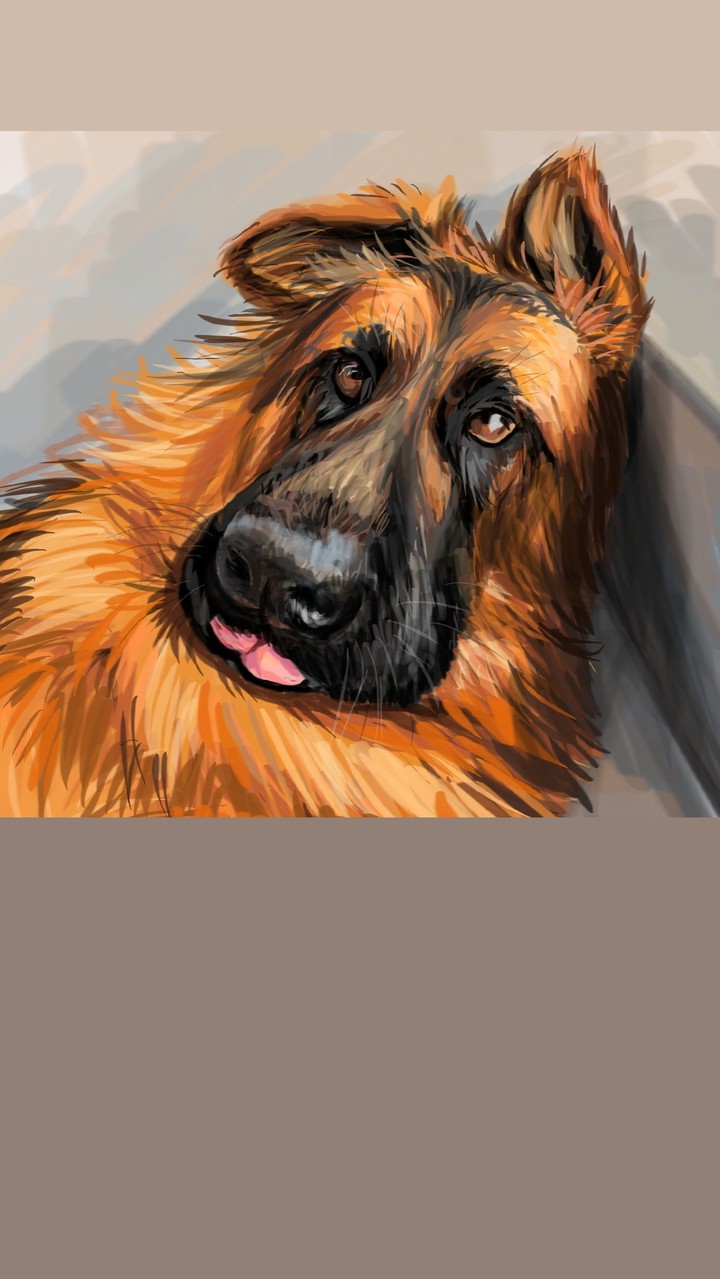good boy