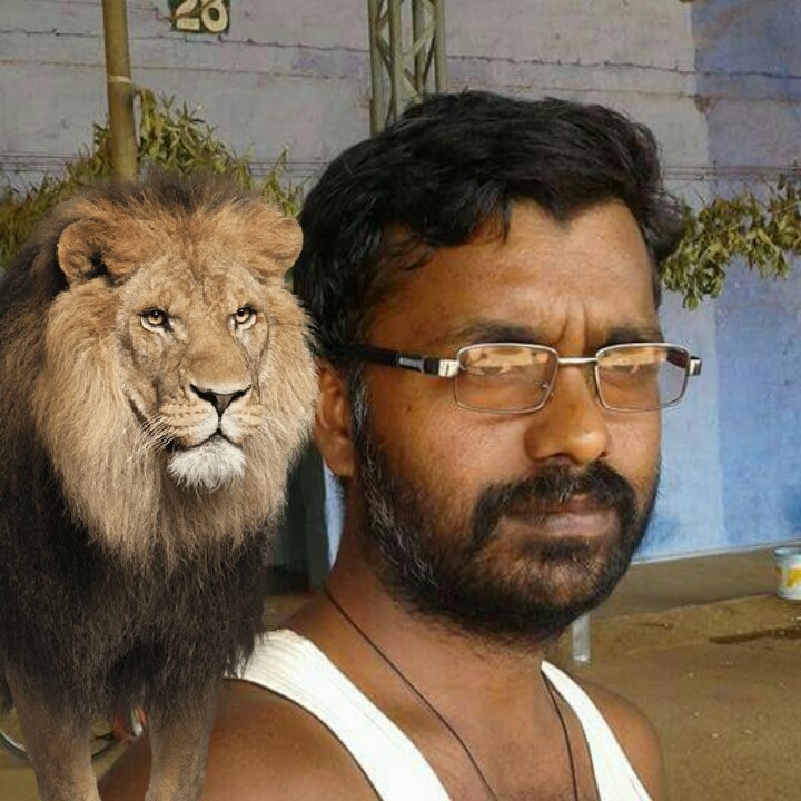 satya
