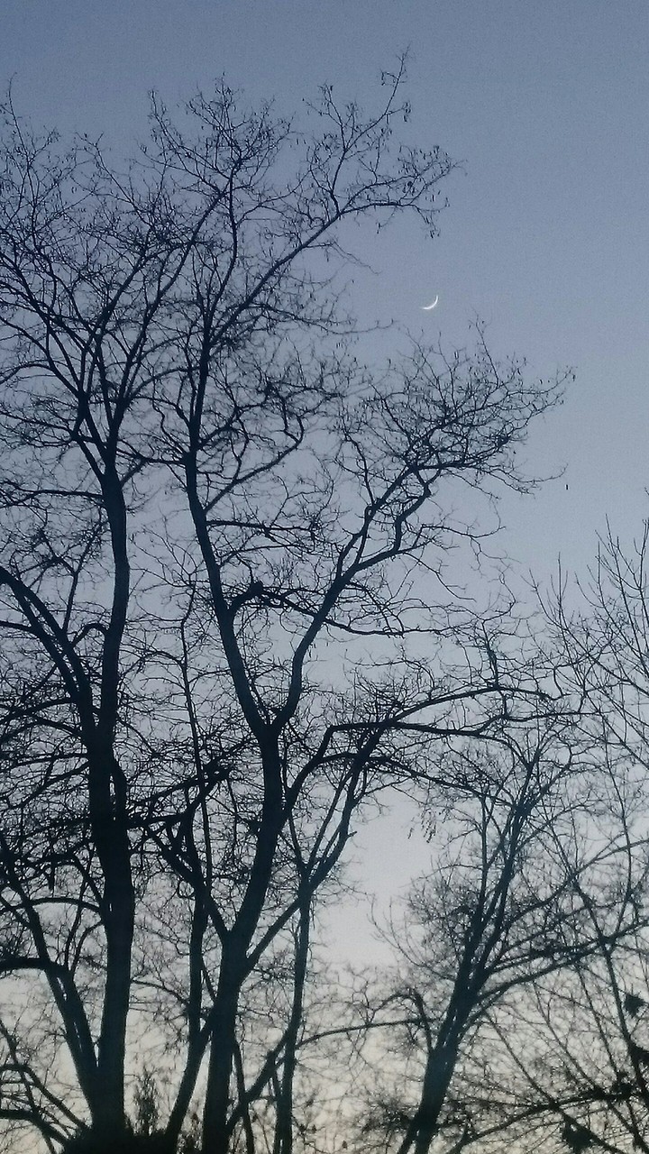 night...moon