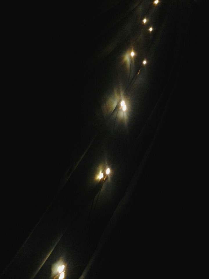Fairie Lights