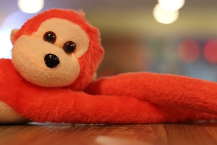 Aaiza's Monkey