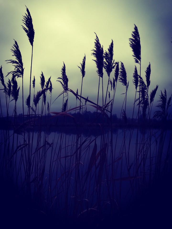 night
