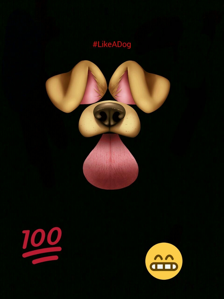 Like A Dog