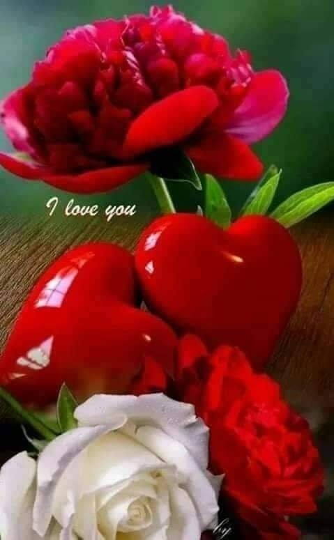 CORAZONES