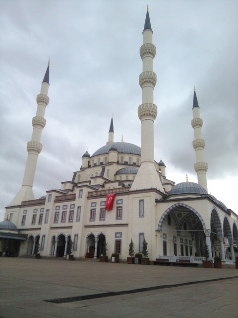 cami