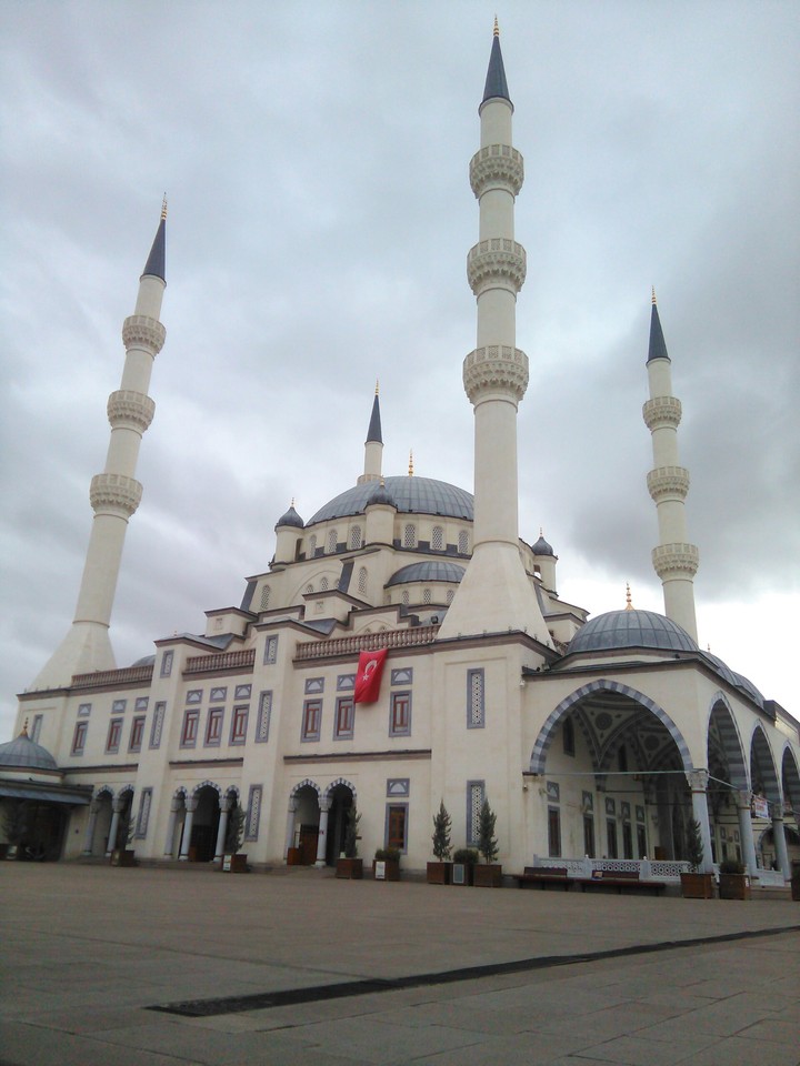 cami