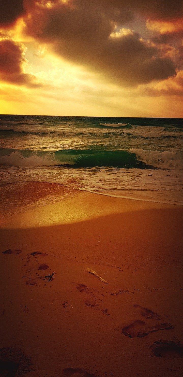 sunset