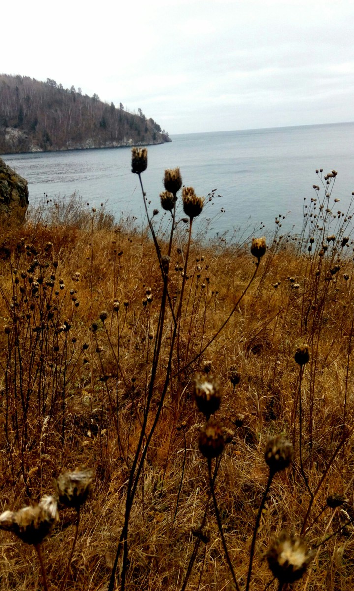 Autumn. Baikal. Wild.