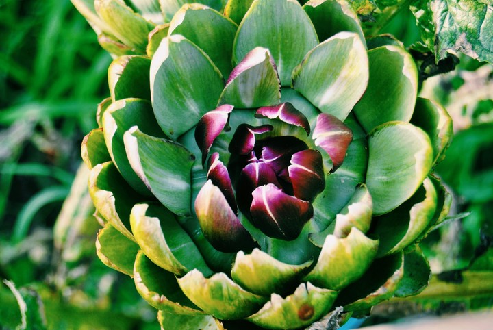 greens