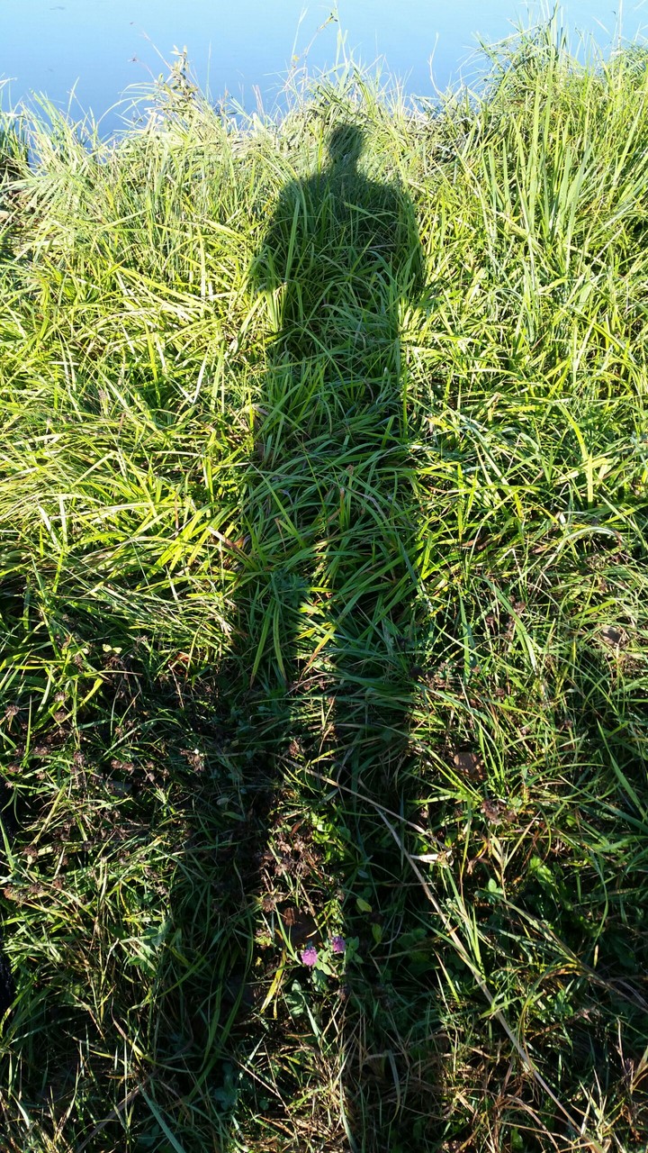 Shadow