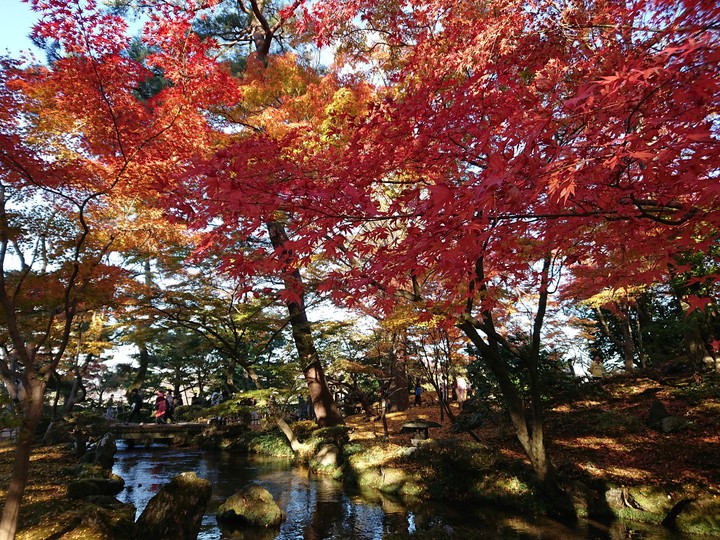 秋の兼六園2