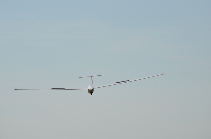Glider