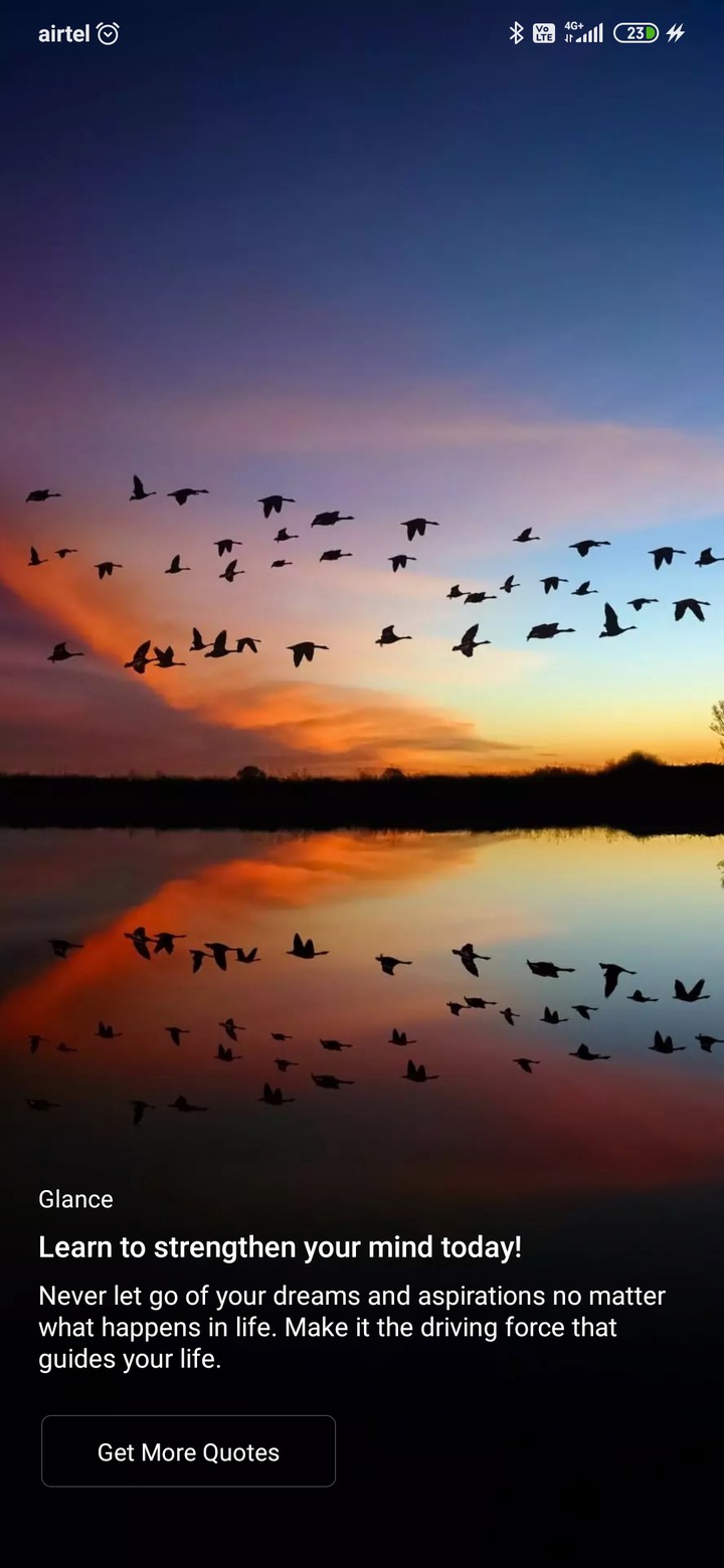 birds