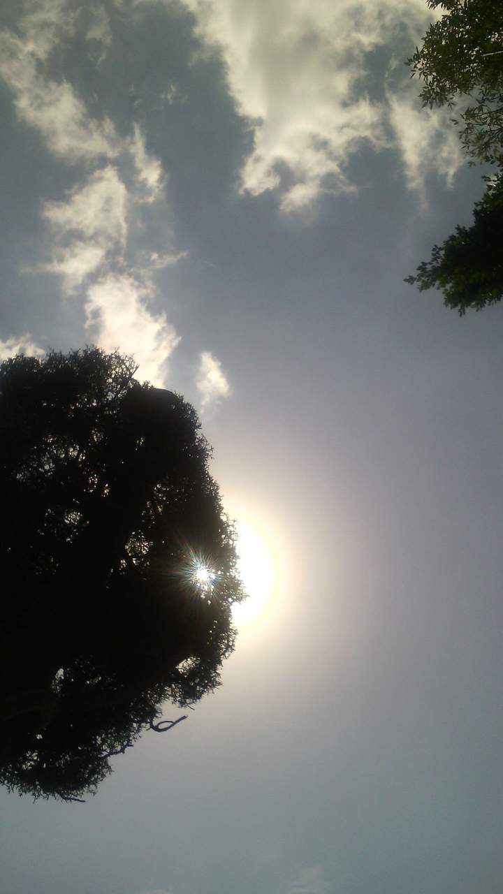 Thursday afternoon ☀