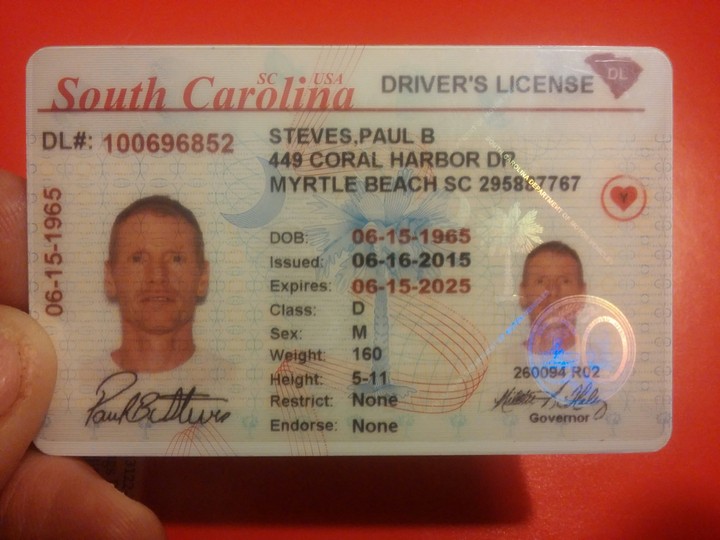 driver licence
