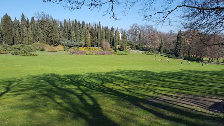 garden