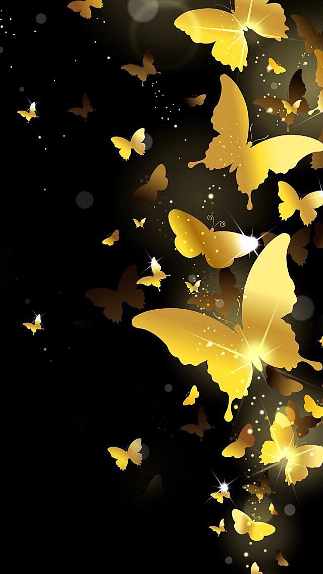 clear black golden butterfly hd wallpaper