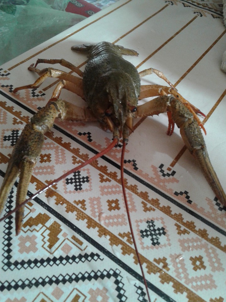 ?