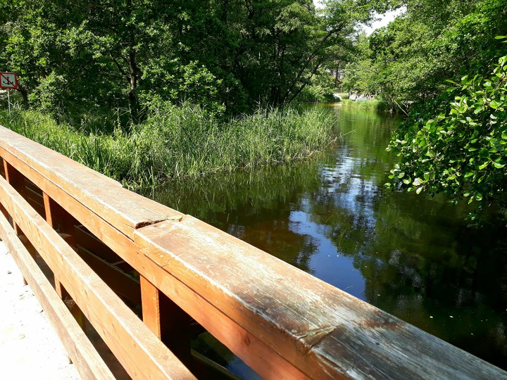 The Piasnica River