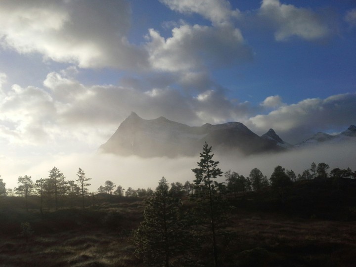 wilderness