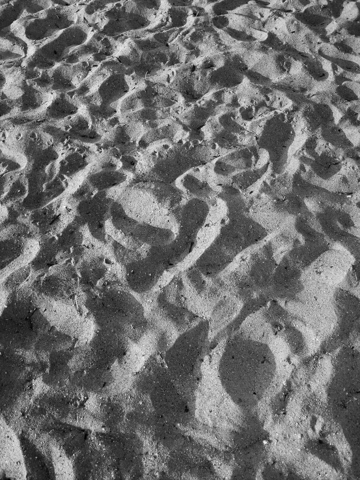 SoFla Beach day
