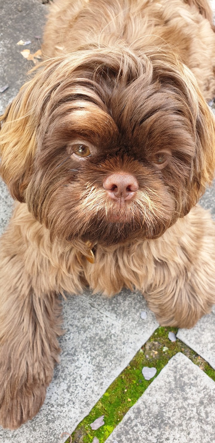 you going to play with me??