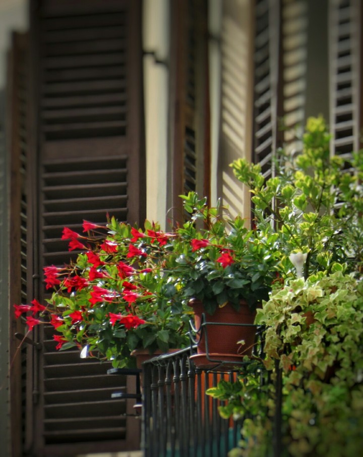 A touch of red