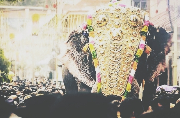 festival