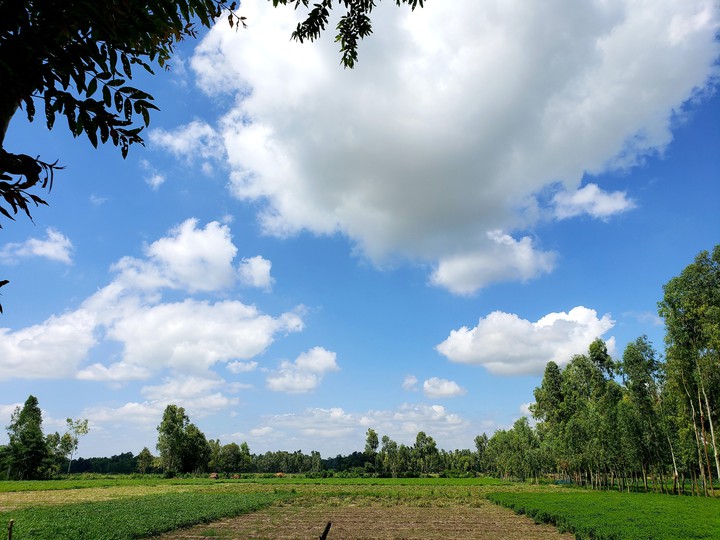 nature